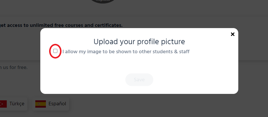 Screenshot__121__2.png